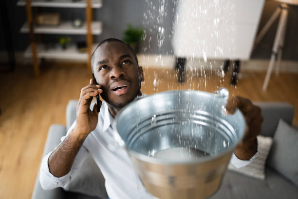 Best Carpet water damage restoration  in Hudson Lake, IN