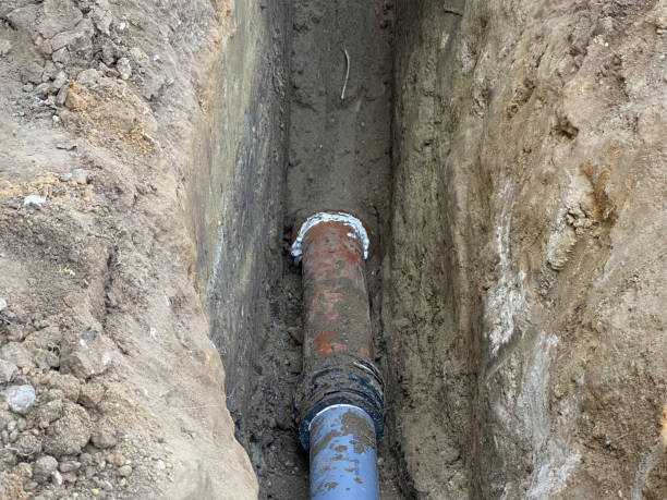 Best Basement water damage restoration  in Hudson Lake, IN