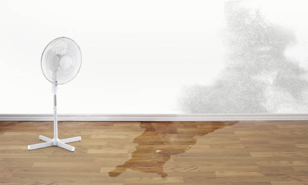  Hudson Lake, IN Water damage restoration Pros