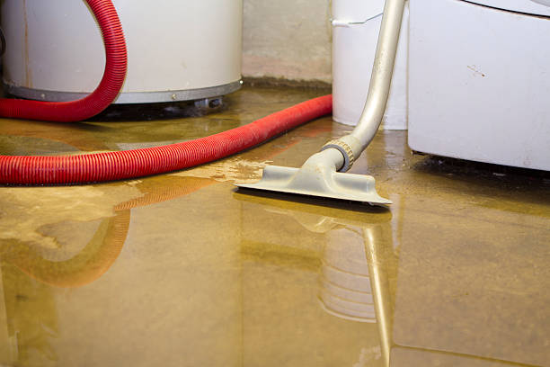 Best Water damage cleanup near me  in Hudson Lake, IN