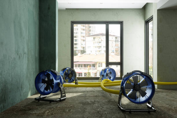Best Water damage restoration near me  in Hudson Lake, IN